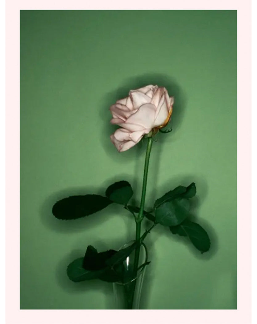 Camille Vivier 'Rose' (2002)
